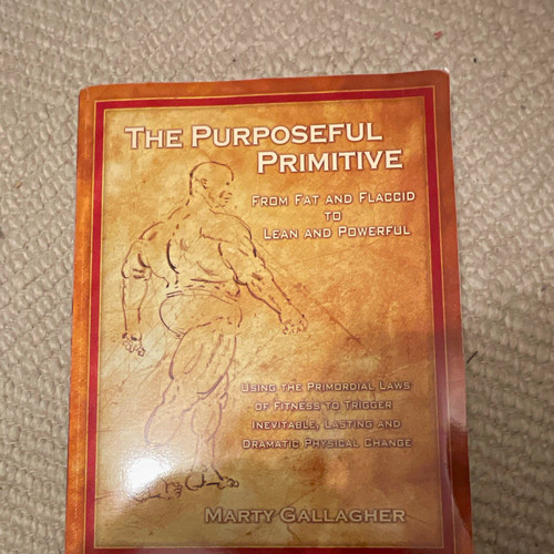 The purposeful primitive - primitive, –