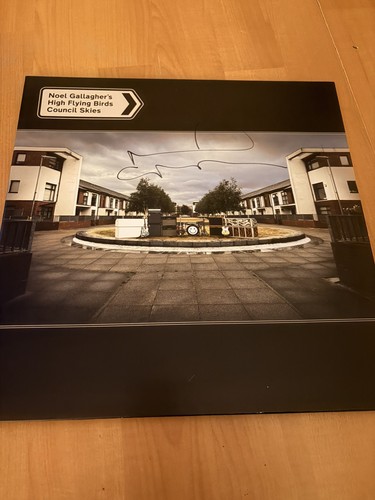 Noel gallagher council skies - -,