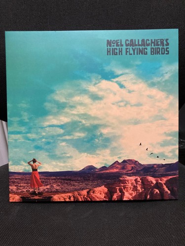 Noel gallagher high - noel, gallagher's
